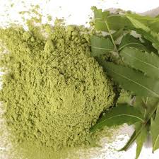 Moringa Powder (Drumstick leaves)